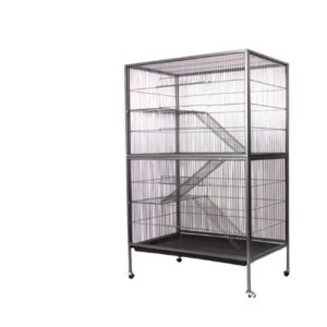 DV199 MORAIDA POLIPETS PEQUENOS PETS PRETO RUGAS
